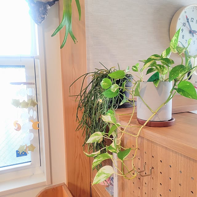 Jijiさんの実例写真