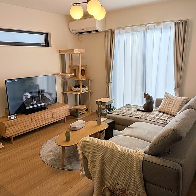 himatomugiさんの実例写真