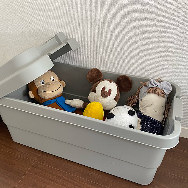 kasさんの実例写真