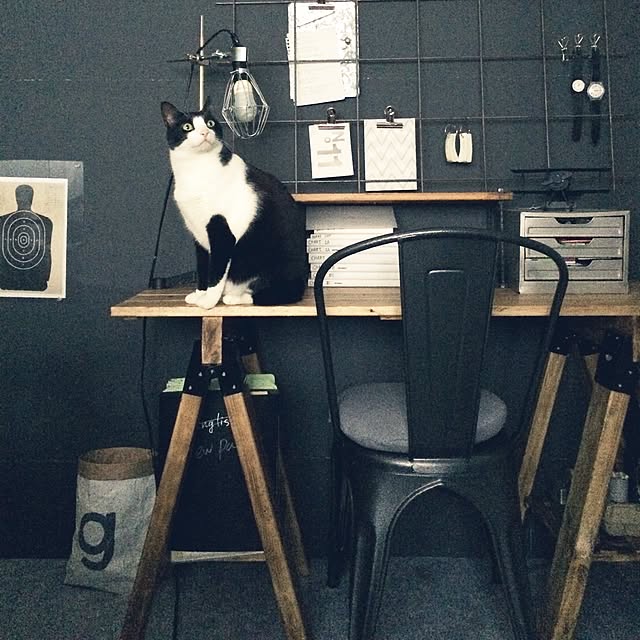 mayhgさんの実例写真