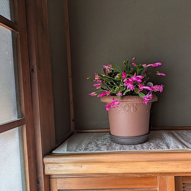 kuririnmamaさんの部屋