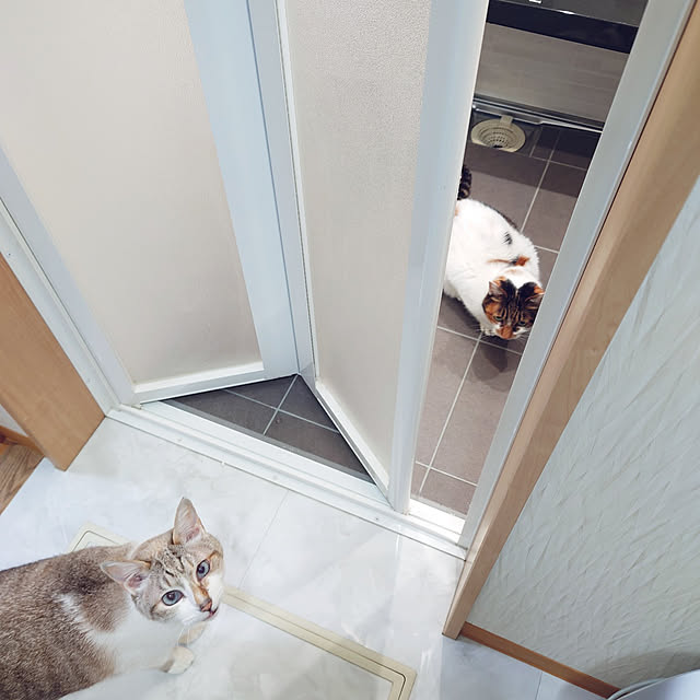 nachiさんの実例写真