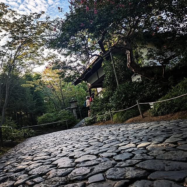 yukiさんの部屋