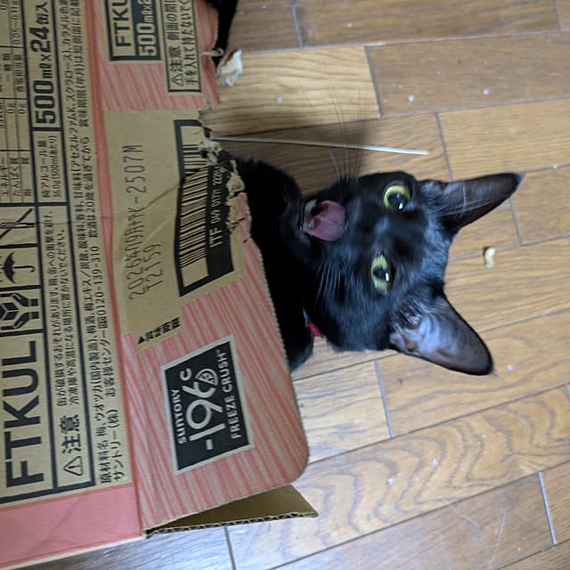 asaさんの実例写真