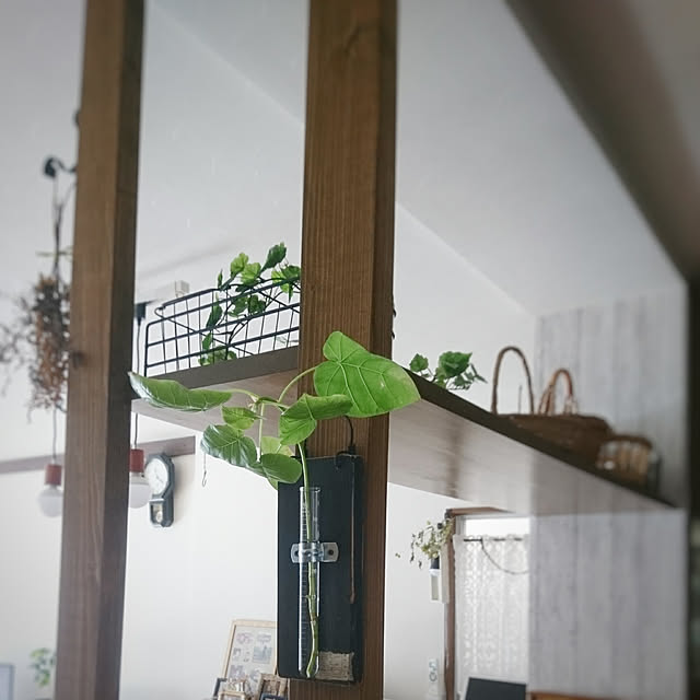 greenwireさんの実例写真