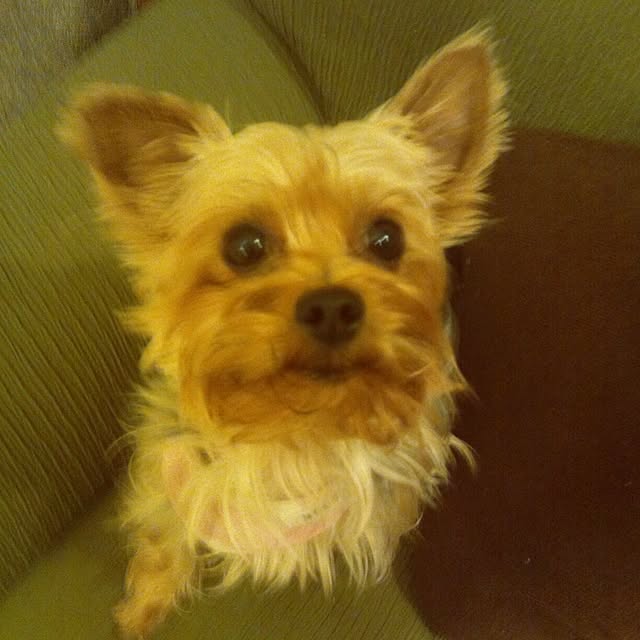 kotetuさんの実例写真