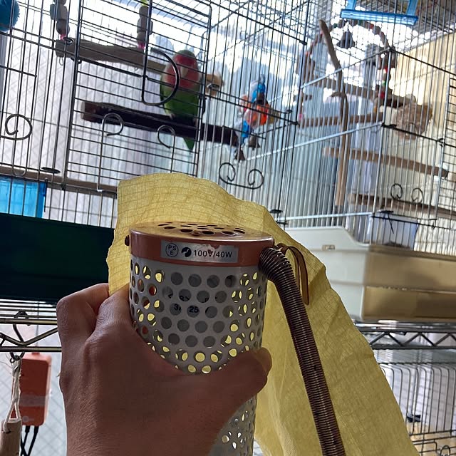 toratanさんの実例写真