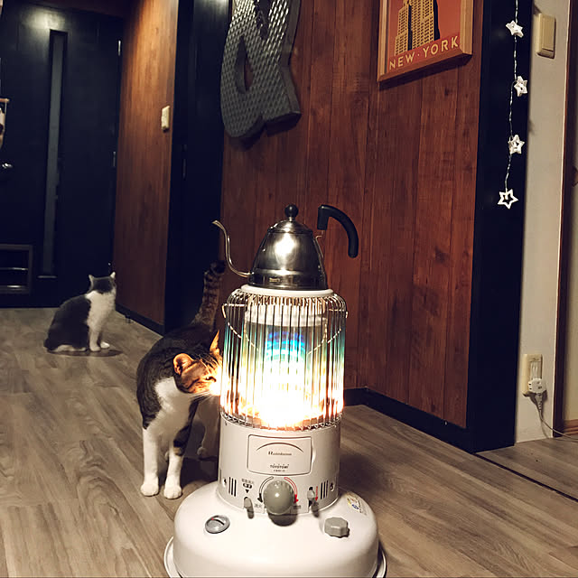 noikoさんの実例写真
