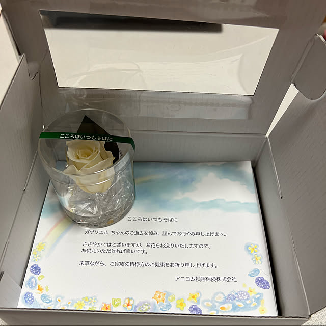 chi_gogaさんの実例写真