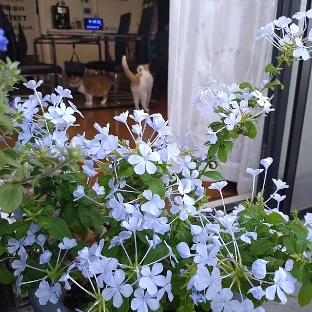 NOAHさんの部屋