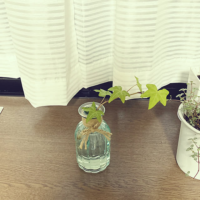 tentenさんの実例写真
