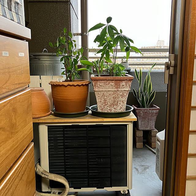 koshiregutyoさんの部屋