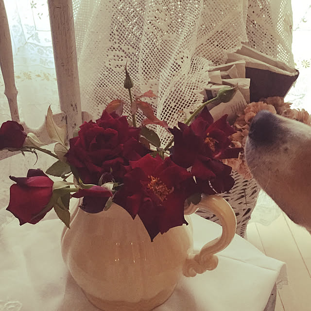 france_rose_laceさんの実例写真