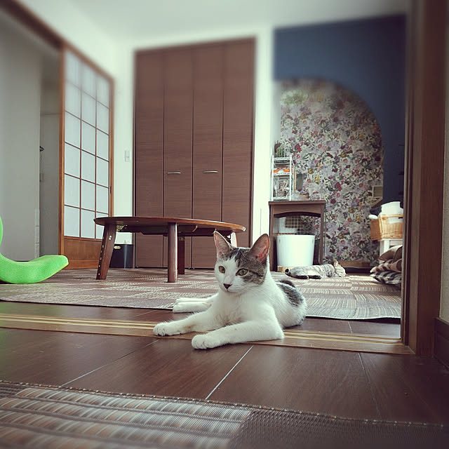 Mikaさんの実例写真