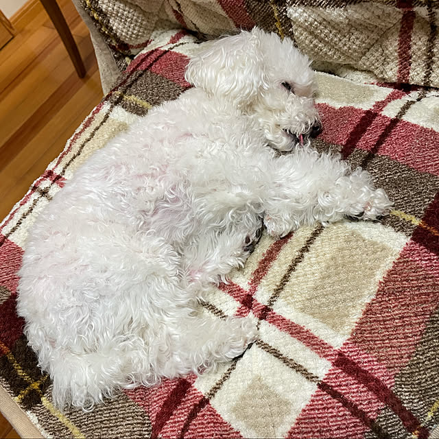 kakoさんの実例写真