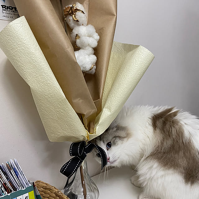 joyful77さんの実例写真