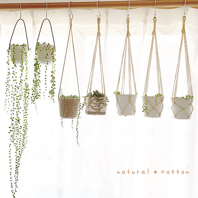natural_cottonさんの実例写真
