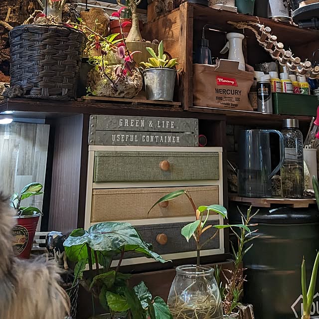 GINさんの部屋