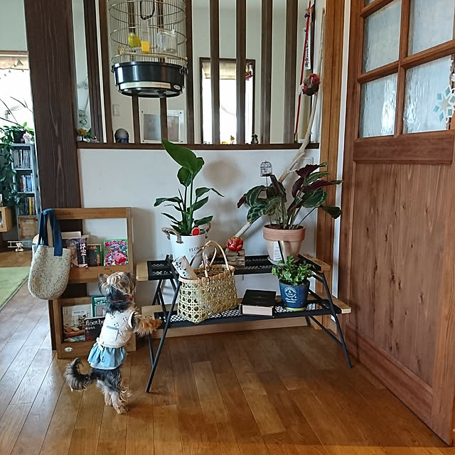 akiさんの実例写真