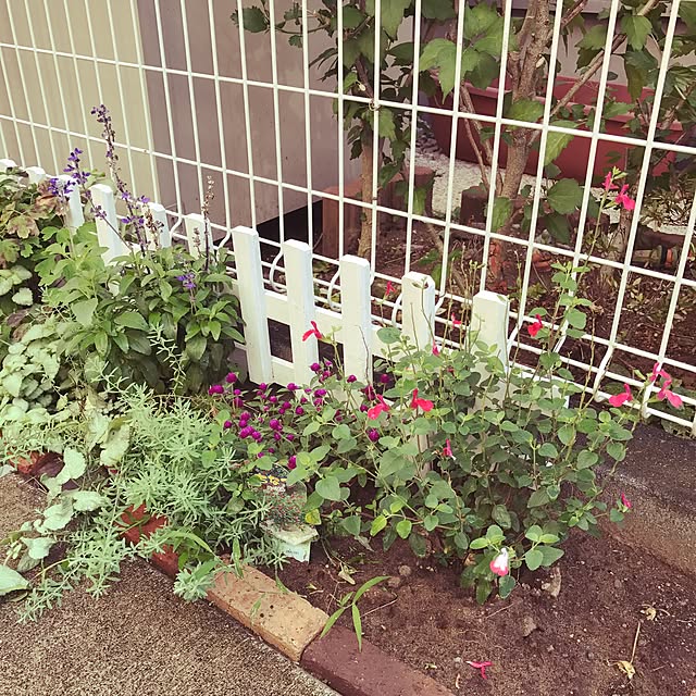 ma-chicoさんの実例写真