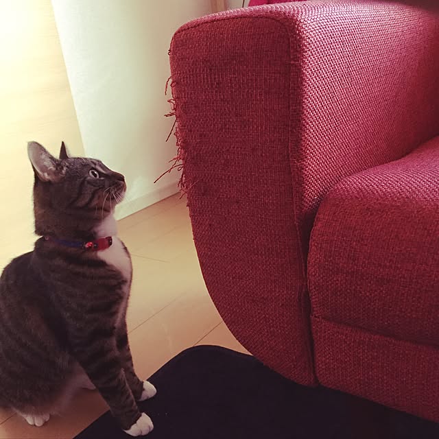 takami0501さんの実例写真