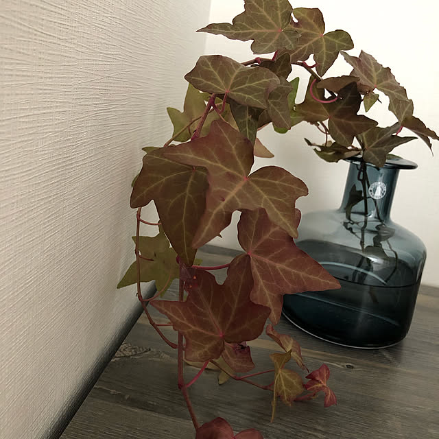 happyさんの実例写真