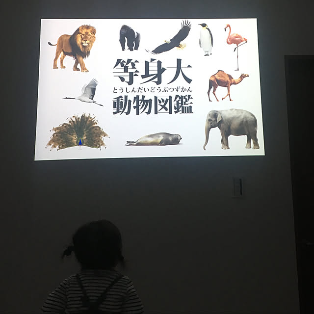 sappyさんの実例写真