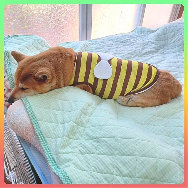 nanaさんの部屋