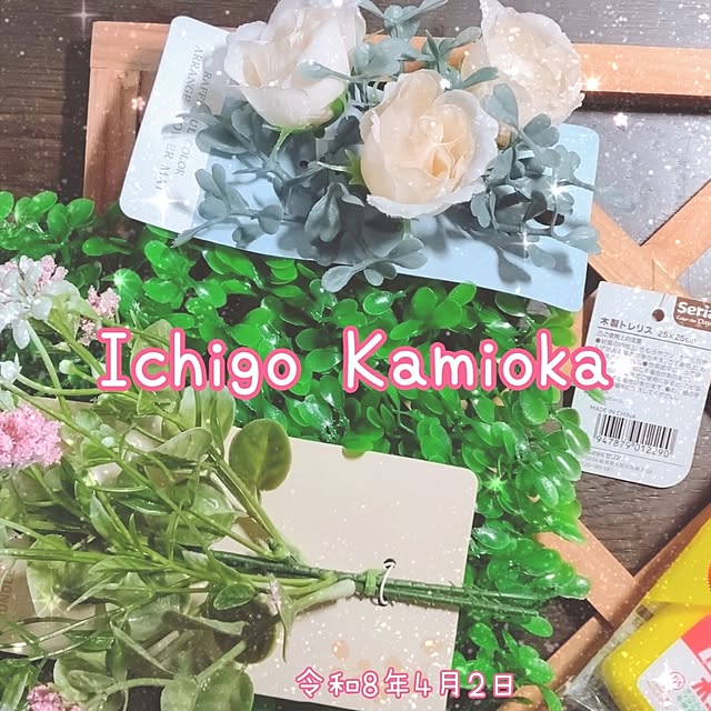 ichigokamiokaさんの部屋