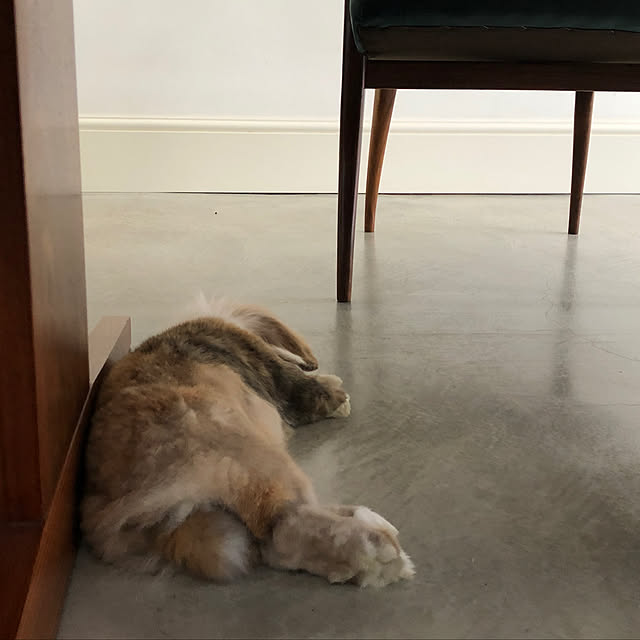 naokoomuraさんの実例写真