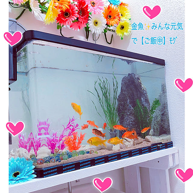 koyuriさんの実例写真