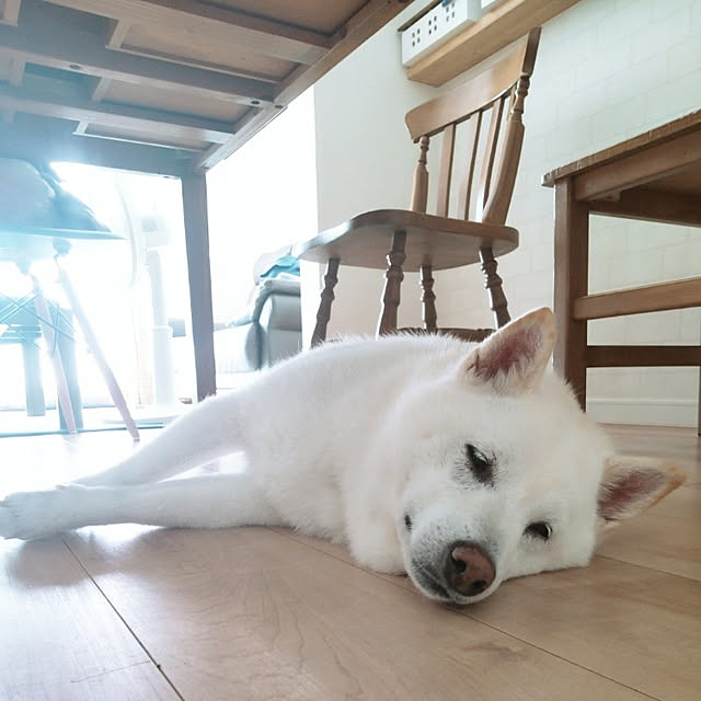 yukinkoさんの実例写真
