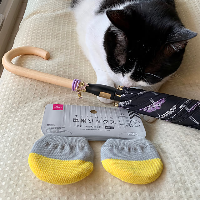 bikkeさんの実例写真