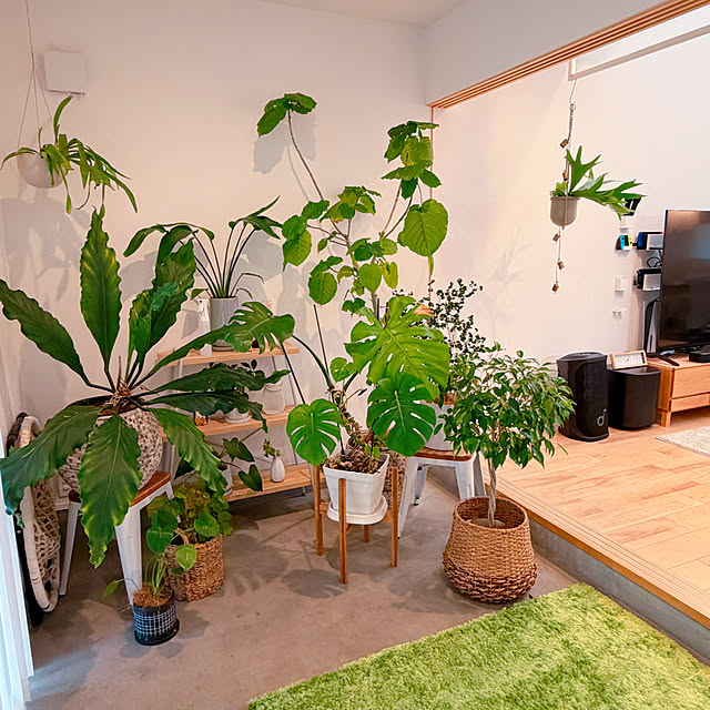 YUKOさんの部屋