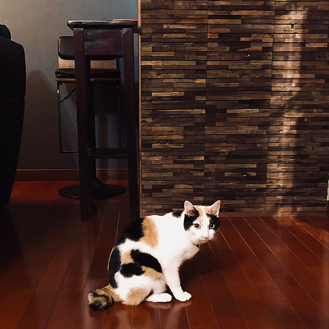 mmさんの実例写真