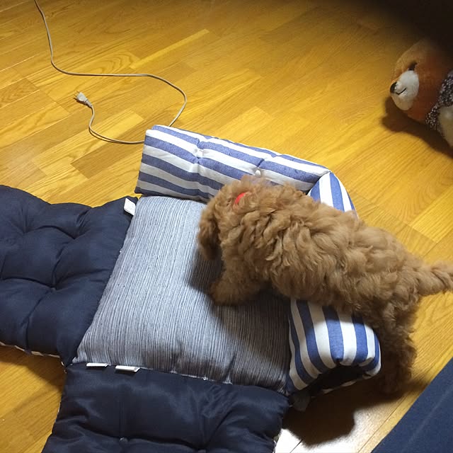 matamさんの実例写真
