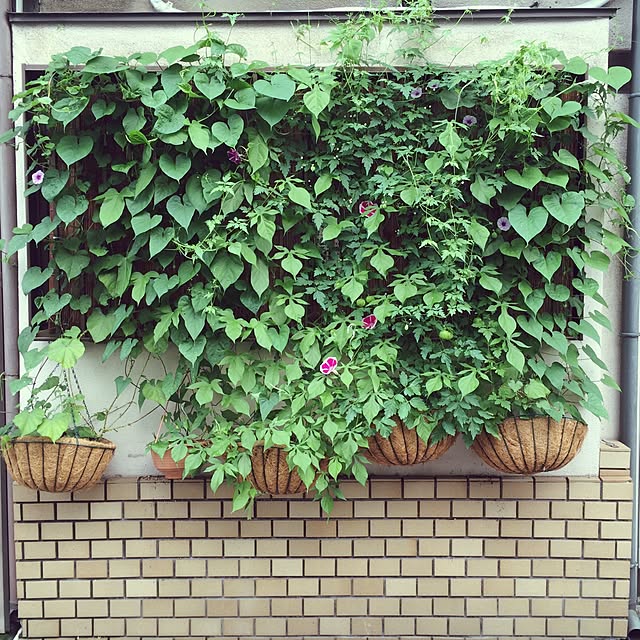 acicombさんの実例写真