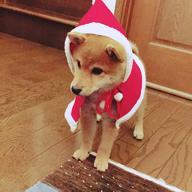 tanyuumoさんの実例写真