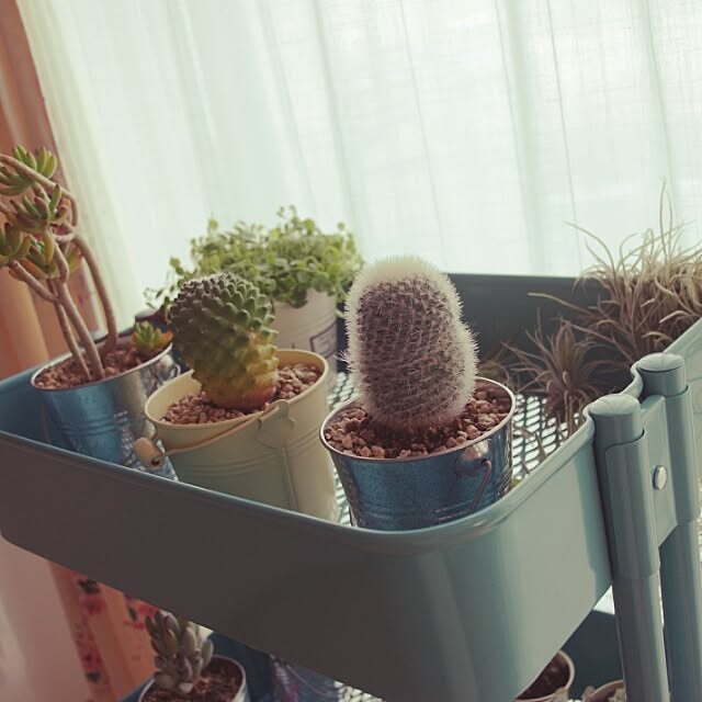smileさんの実例写真