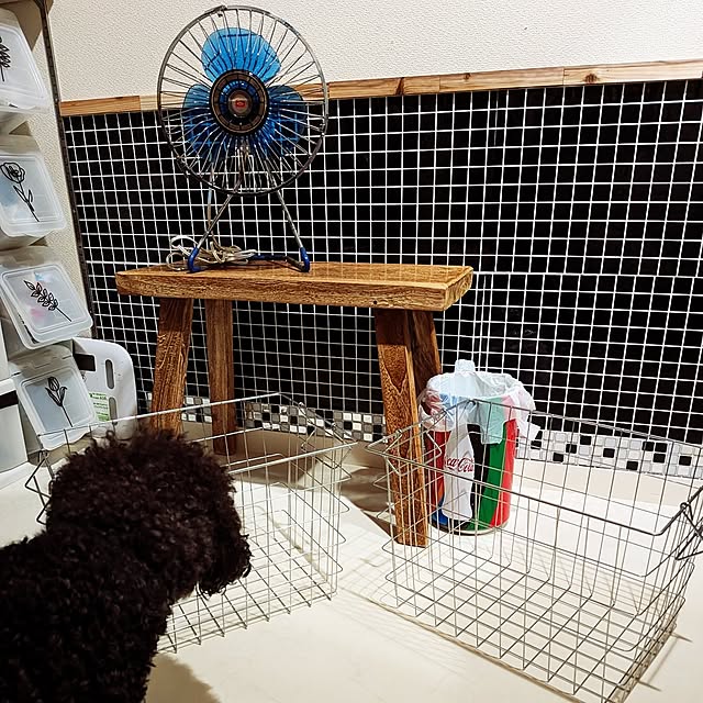umeboshicyanさんの部屋