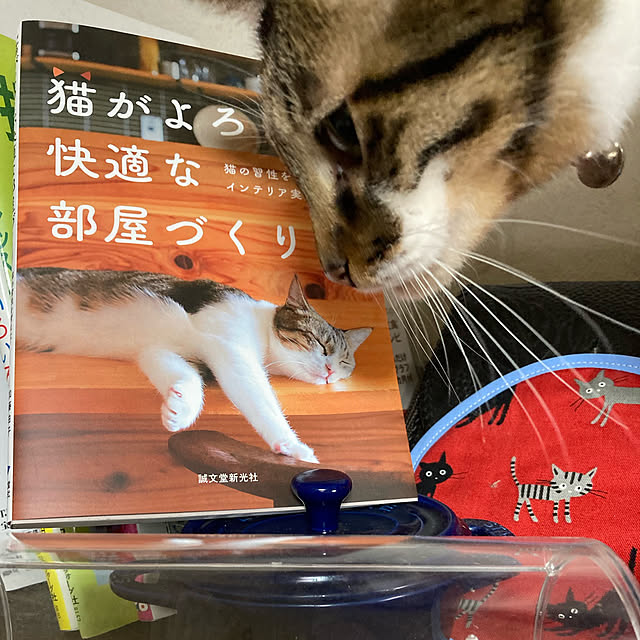 harumiwa228さんの実例写真
