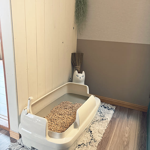 miwaさんの実例写真