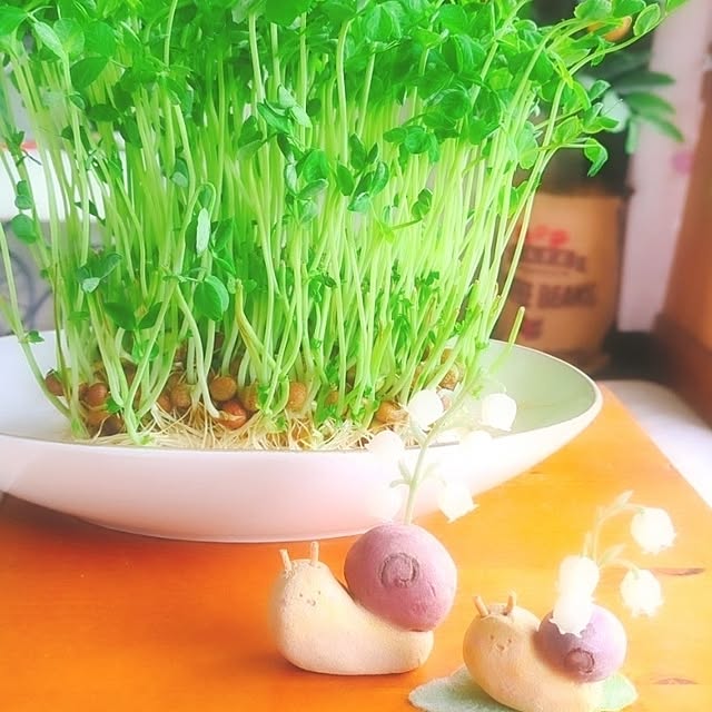 harumoeさんの実例写真