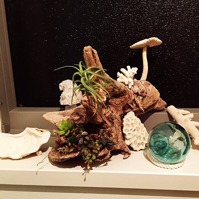 YOSHI31さんの実例写真