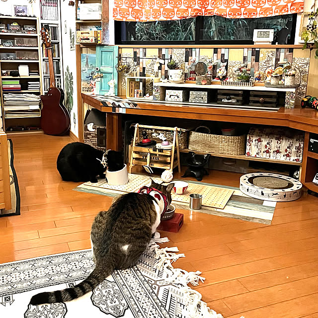 jijiさんの実例写真
