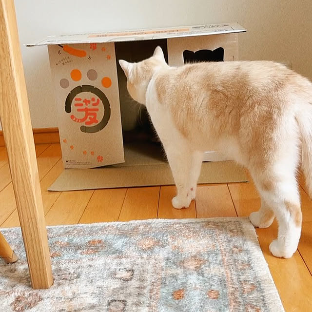 madeleineさんの部屋