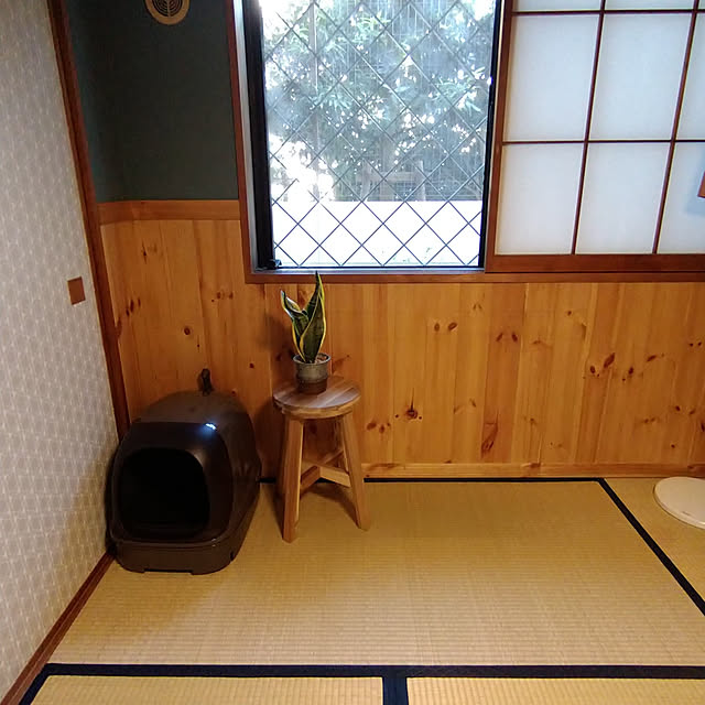 okyosan101さんの実例写真