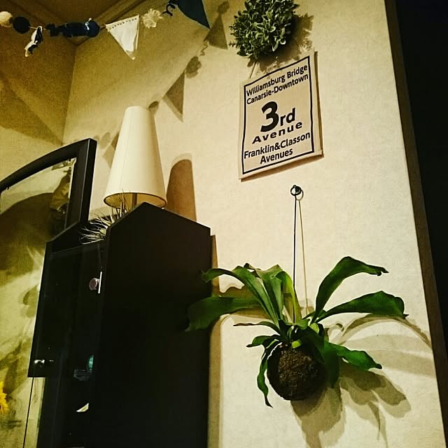 shunly_sakkyさんの実例写真