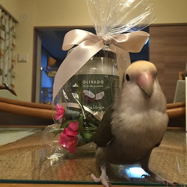 Chicoさんの実例写真