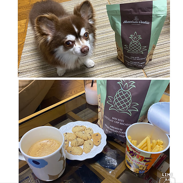 chIoeさんの実例写真